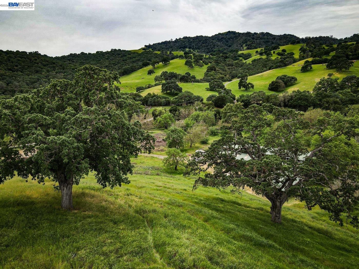 6115 Morgan Territory Road Clayton, CA 94517 - Photo 36 of 60 a view of a lush green forest with houses in the back