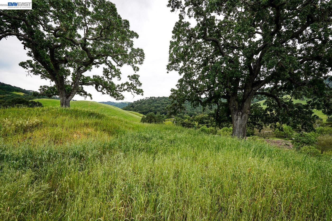 6115 Morgan Territory Road Clayton, CA 94517 - Photo 39 of 60 a view of a lush green space