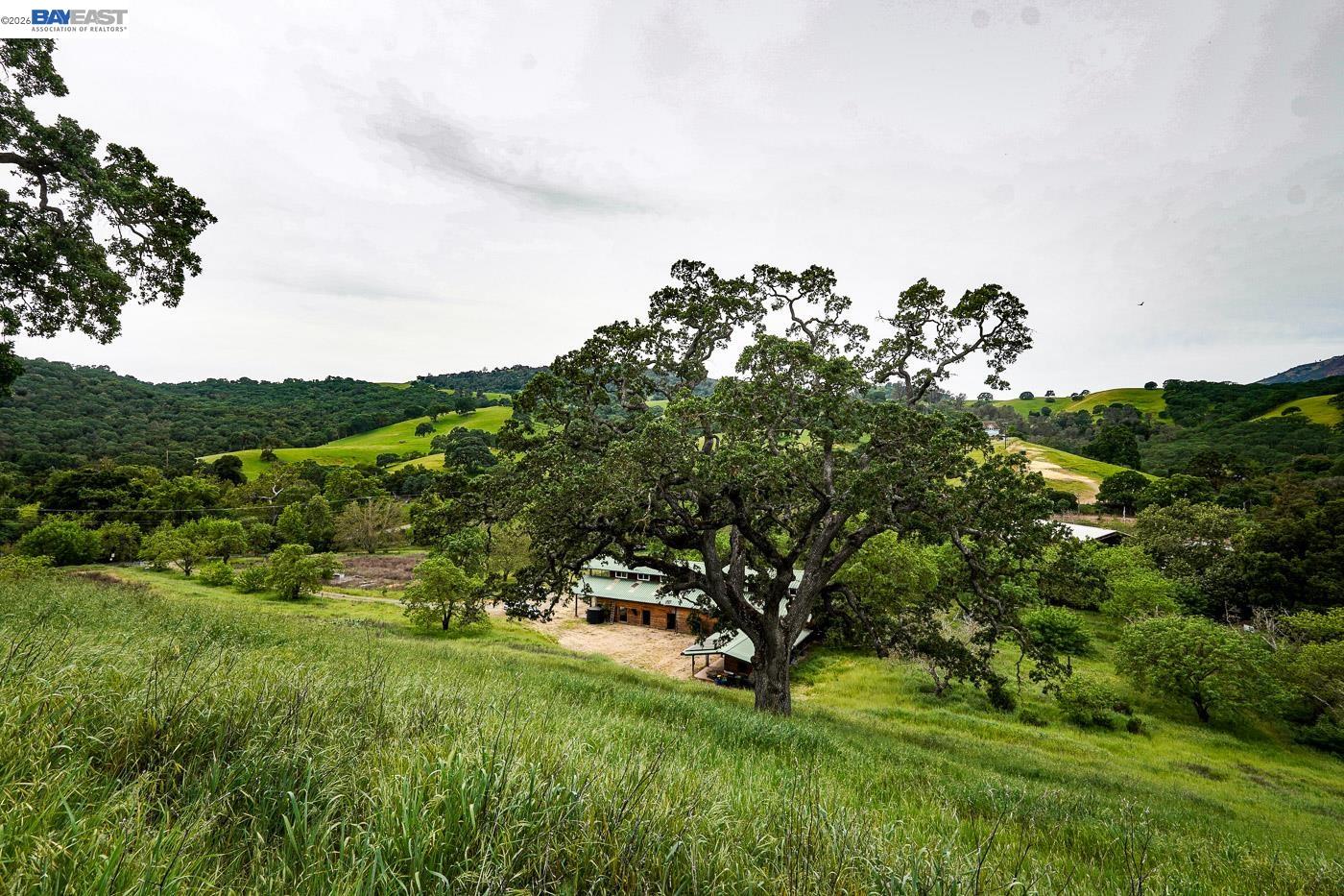 6115 Morgan Territory Road Clayton, CA 94517 - Photo 42 of 60 a backyard of a house with lots of green space