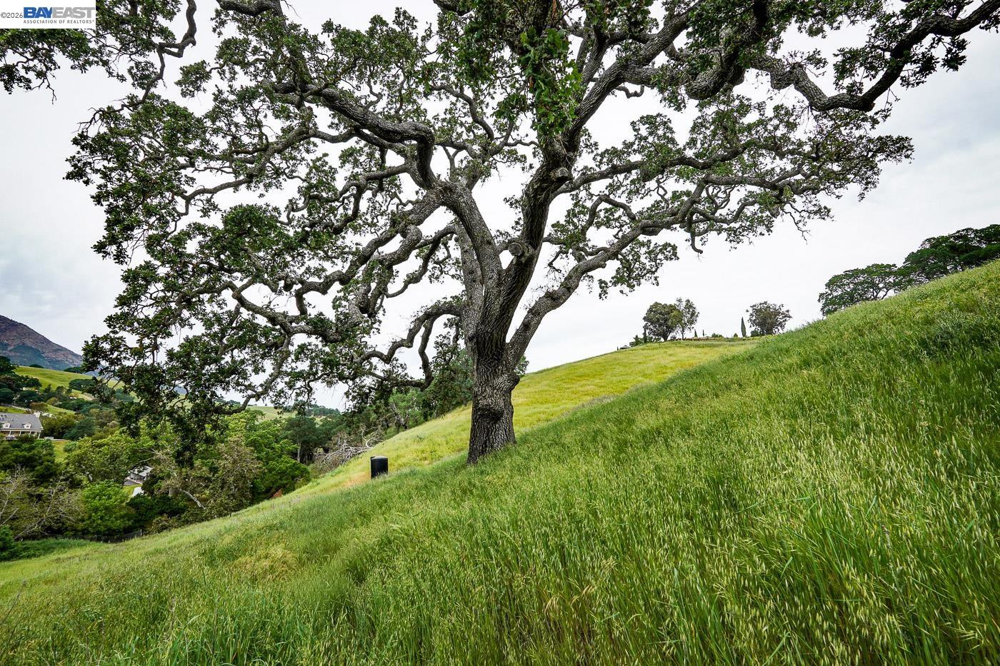 6115 Morgan Territory Road Clayton, CA 94517 - Photo 45 of 60