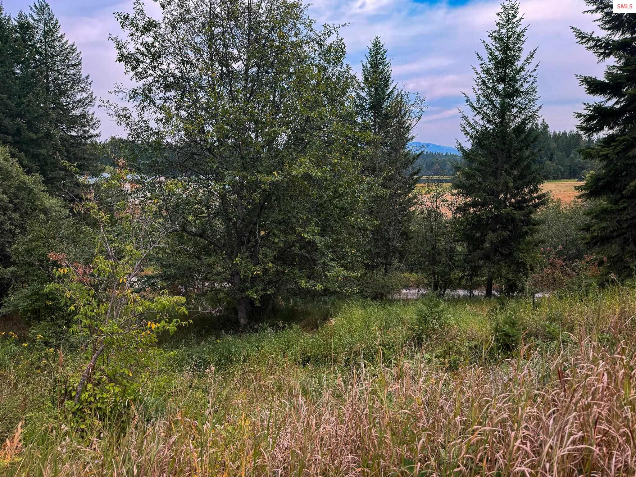 7 Timber Haven Road Sagle, ID 83860 - Photo 12 of 39 Gallery Image 12