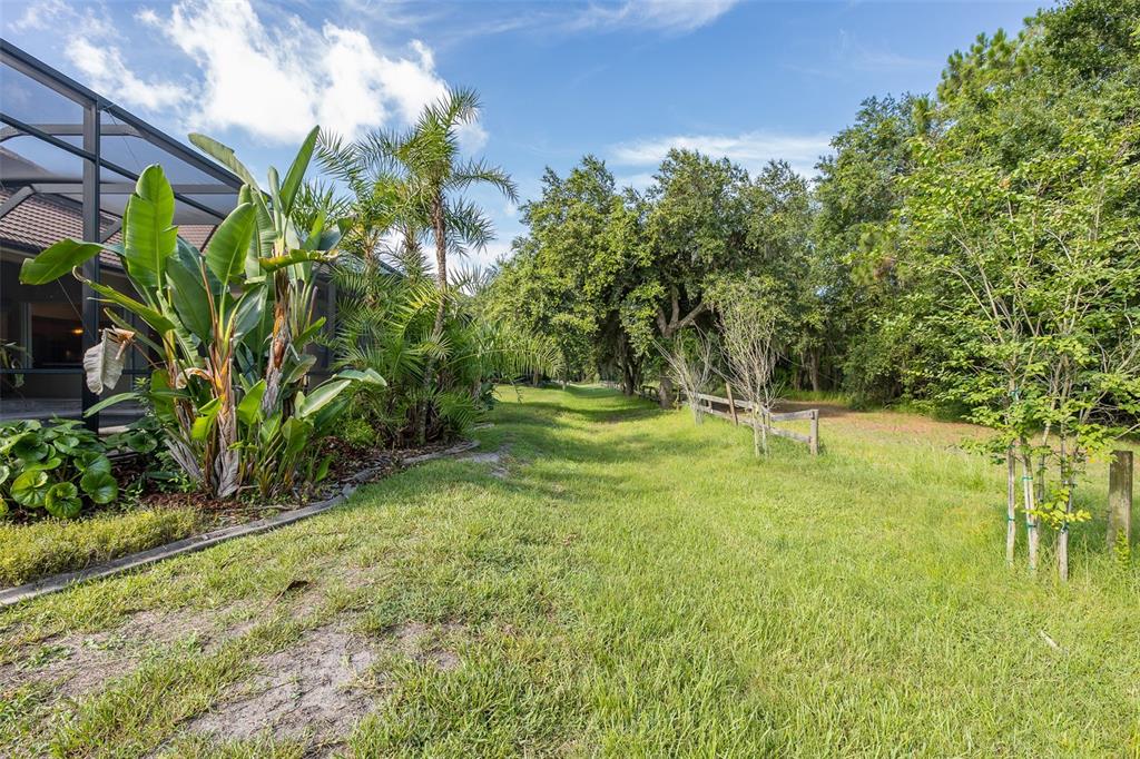 2880 Waters Edge Road Palm Harbor, FL 34685 - Photo 51 of 52