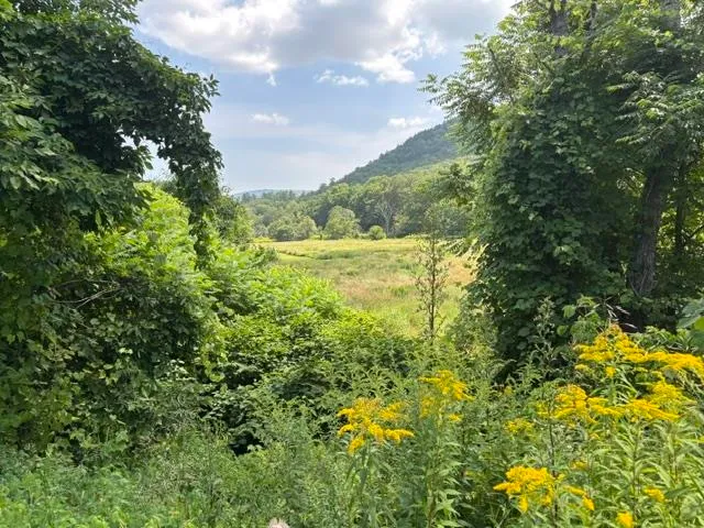 $289,000 | 842 Main Street, Cavendish, VT 05153