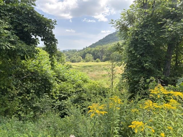 842 Main Street Cavendish, VT 05153 - Photo 26 of 42