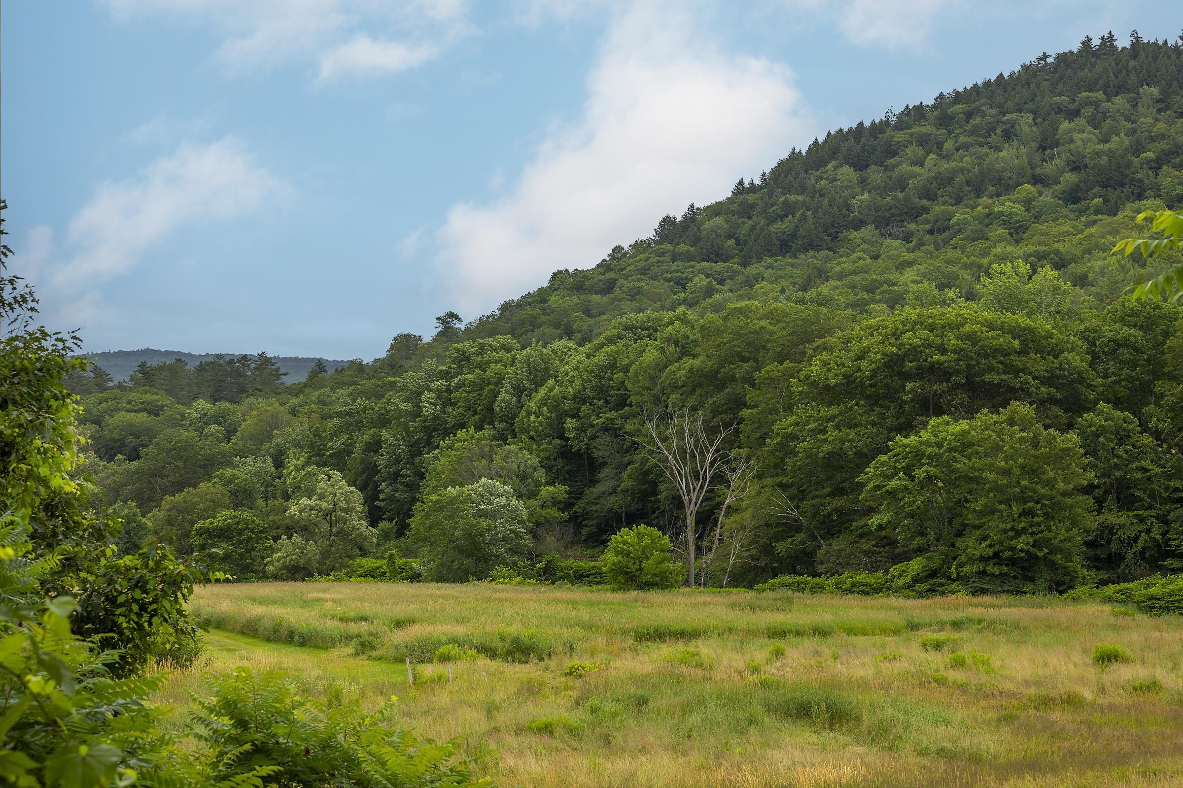 842 Main Street Cavendish, VT 05153 - Photo 31 of 34
