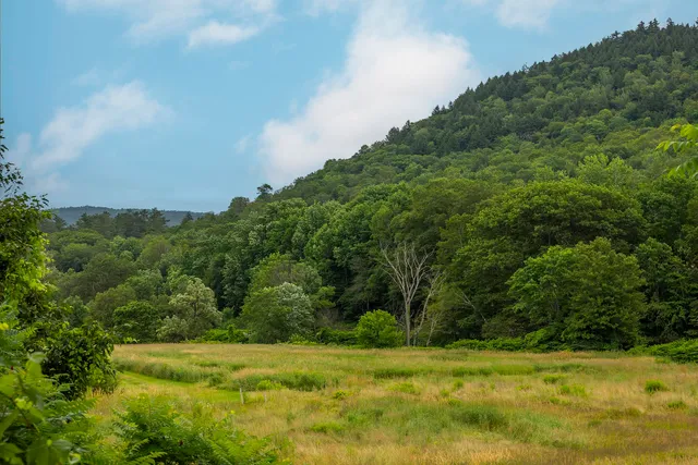 $289,000 | 842 Main Street, Cavendish, VT 05153