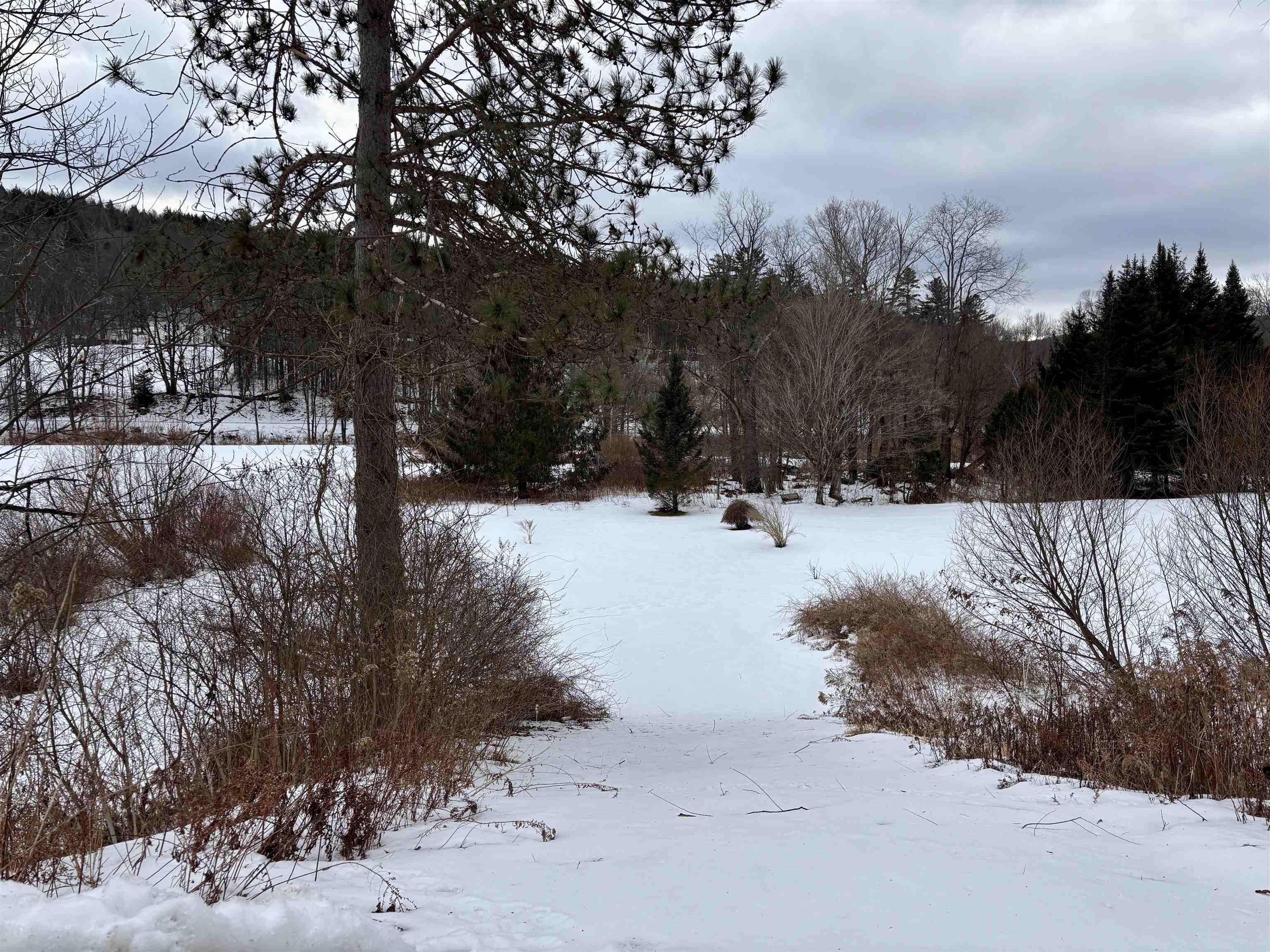 842 Main Street Cavendish, VT 05153 - Photo 38 of 42