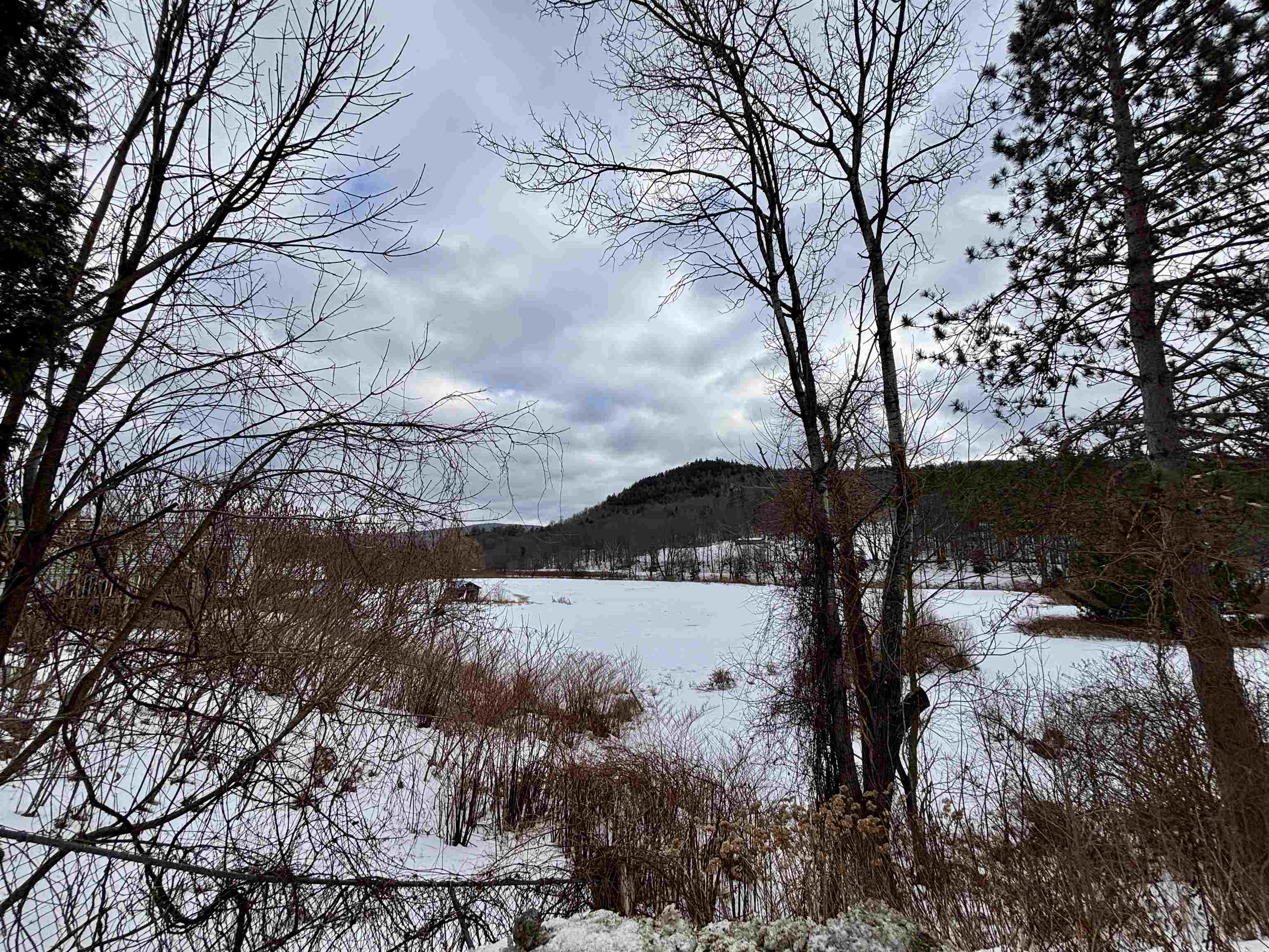 842 Main Street Cavendish, VT 05153 - Photo 39 of 42