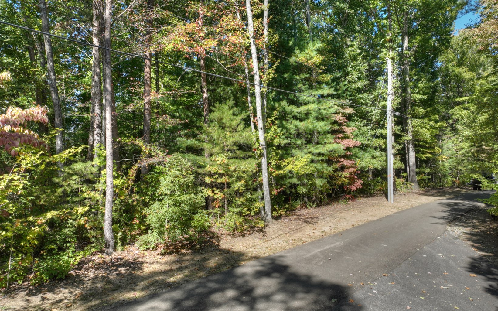 31 Oak Ridge Road Ellijay, GA 30536 - Photo 4 of 21 Additional View