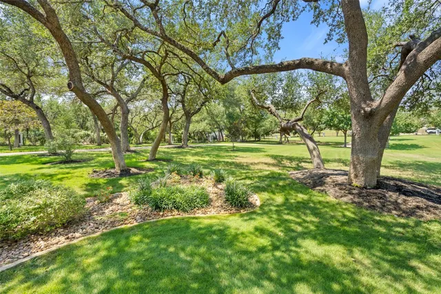 a view of a field with a tree