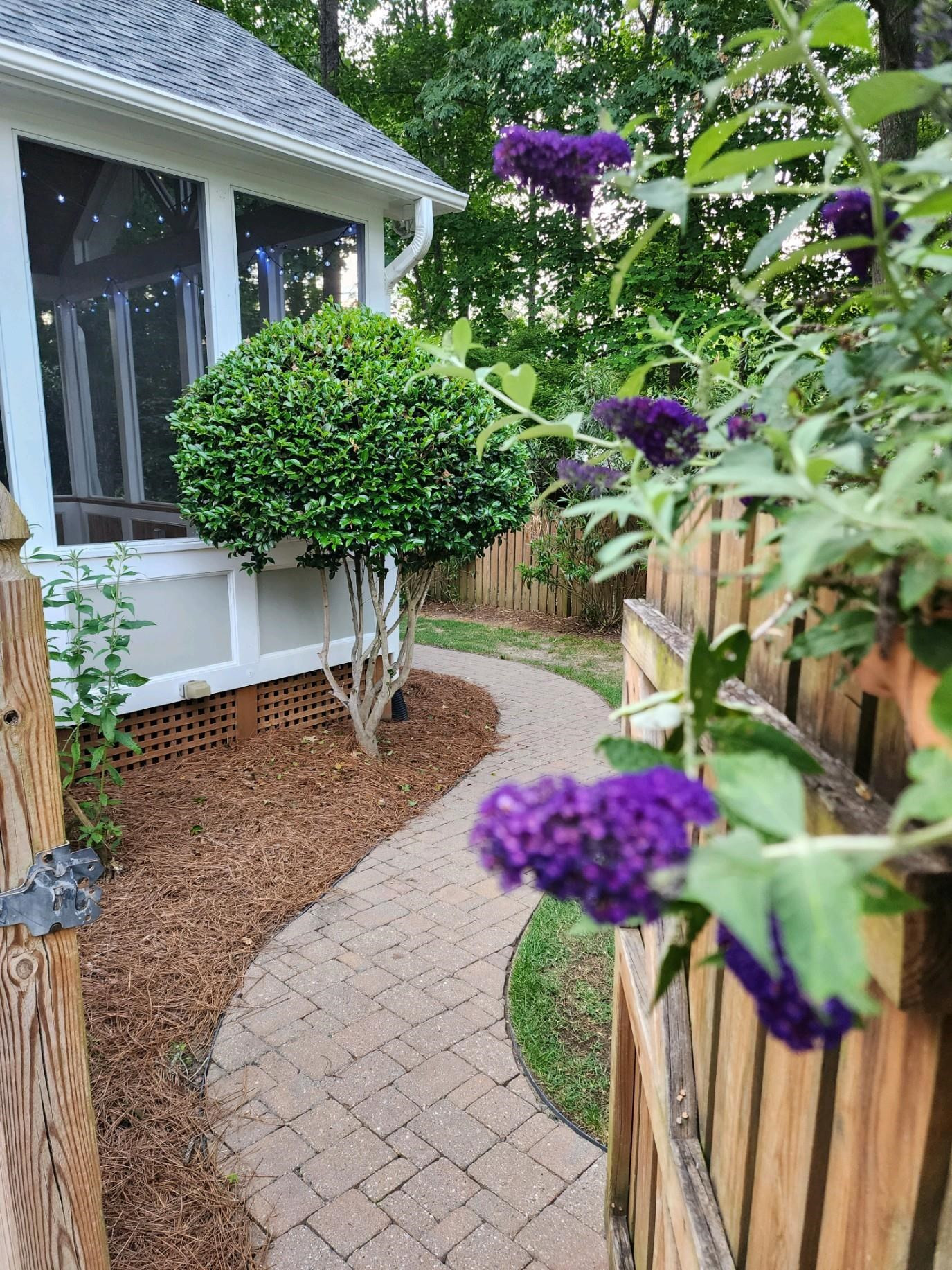 3413 Dewing Drive Raleigh, NC 27616 - Photo 61 of 82 Photo 61