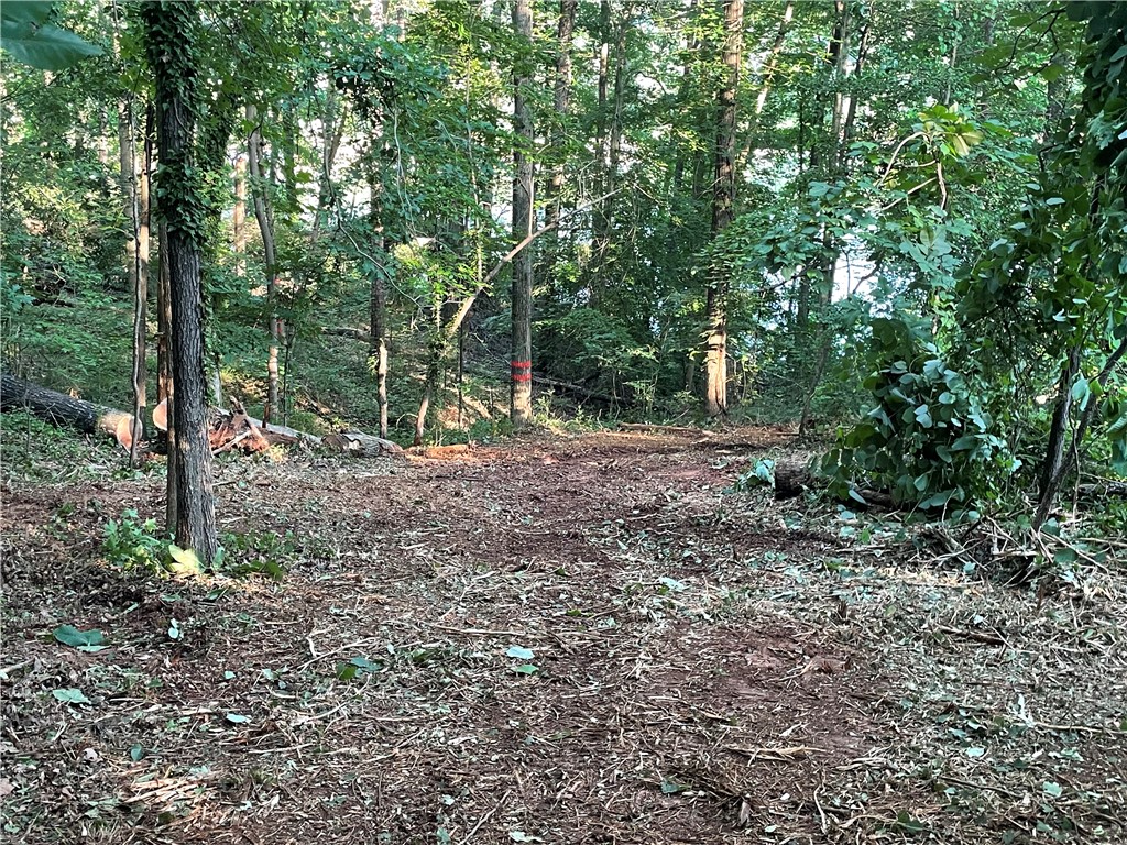 206 Park Road Townville, SC 29689 - Photo 6 of 9