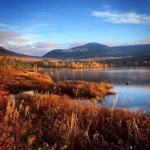 $95,000 | * Bog Road, Stratford, NH 03590