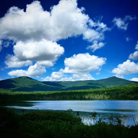 $95,000 | * Bog Road, Stratford, NH 03590