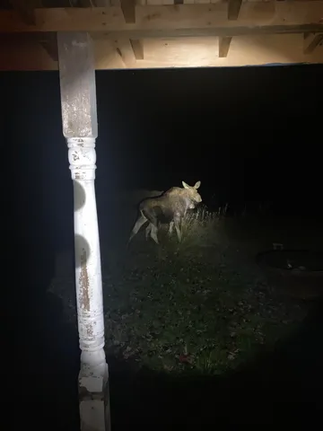 $95,000 | * Bog Road, Stratford, NH 03590