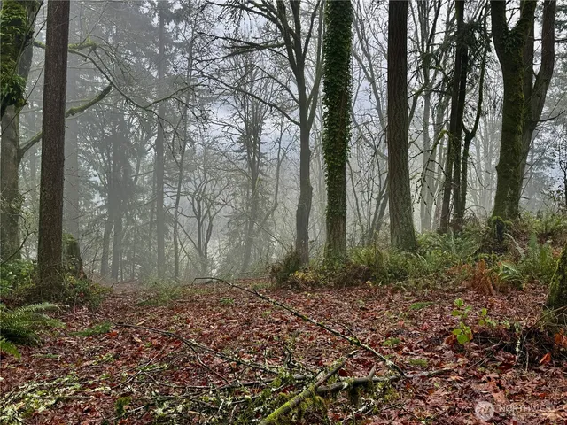 $165,000 | 0 East Lynnwood Drive, Longview, WA 98632