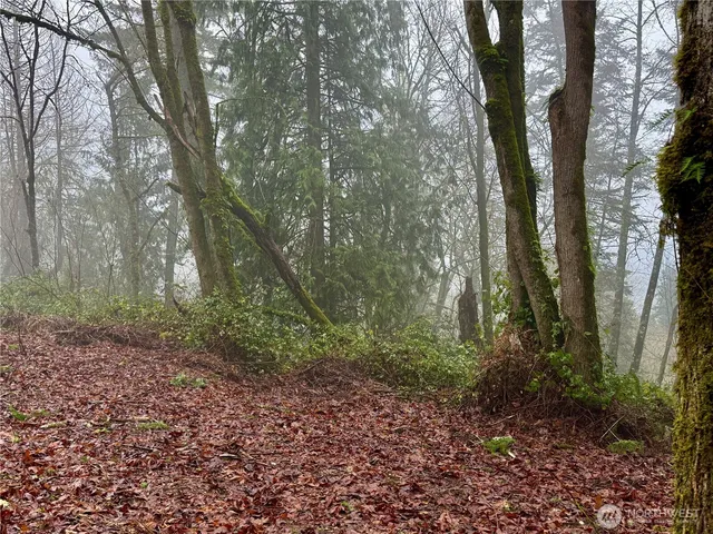 $165,000 | 0 East Lynnwood Drive, Longview, WA 98632