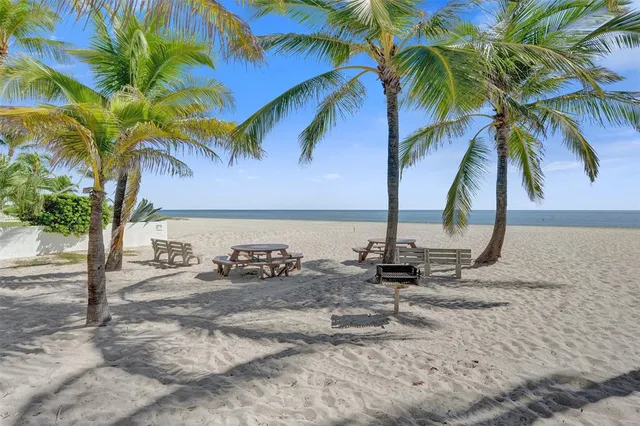 a view of a palm tree with an ocean