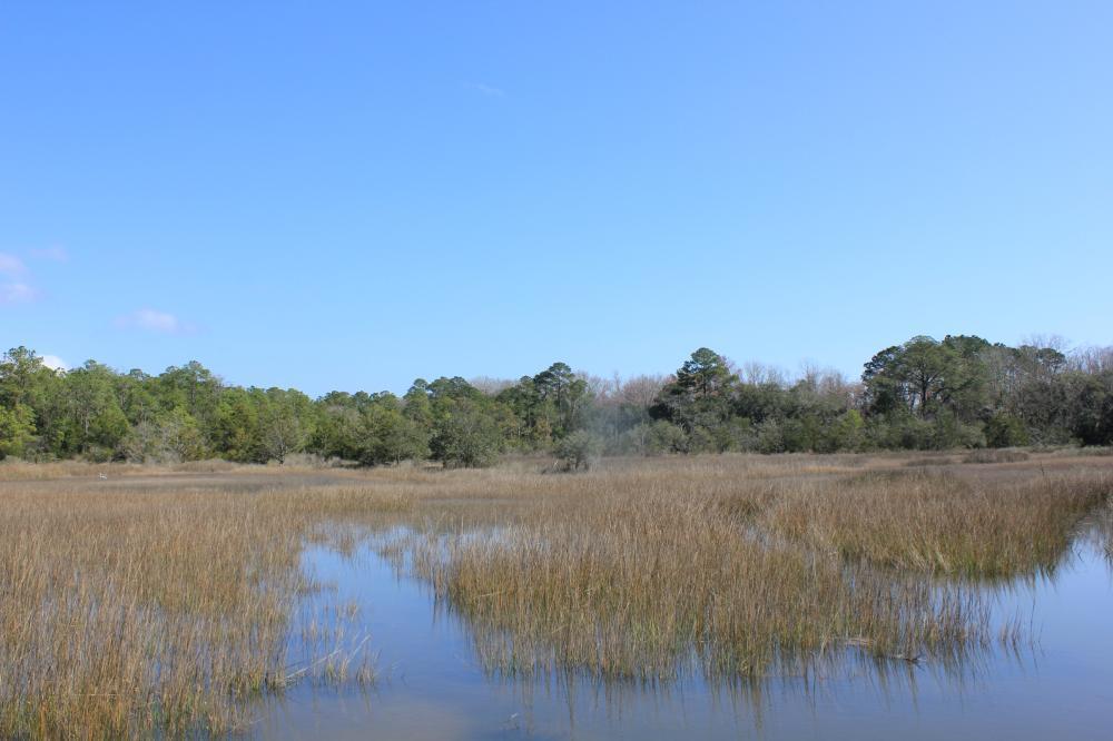 4756 Toogoodoo Farm Road Meggett, SC 29449 - Photo 1 of 13 1