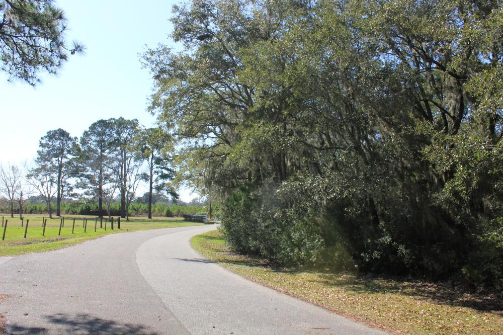 4756 Toogoodoo Farm Road Meggett, SC 29449 - Photo 2 of 13 2