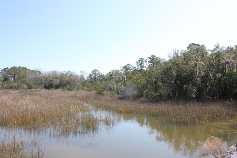 4756 Toogoodoo Farm Road Meggett, SC 29449 - Photo 3 of 13 3
