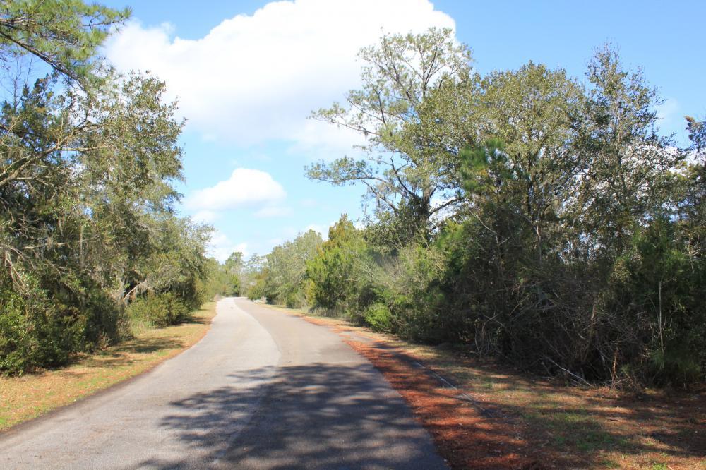 4756 Toogoodoo Farm Road Meggett, SC 29449 - Photo 5 of 13 5