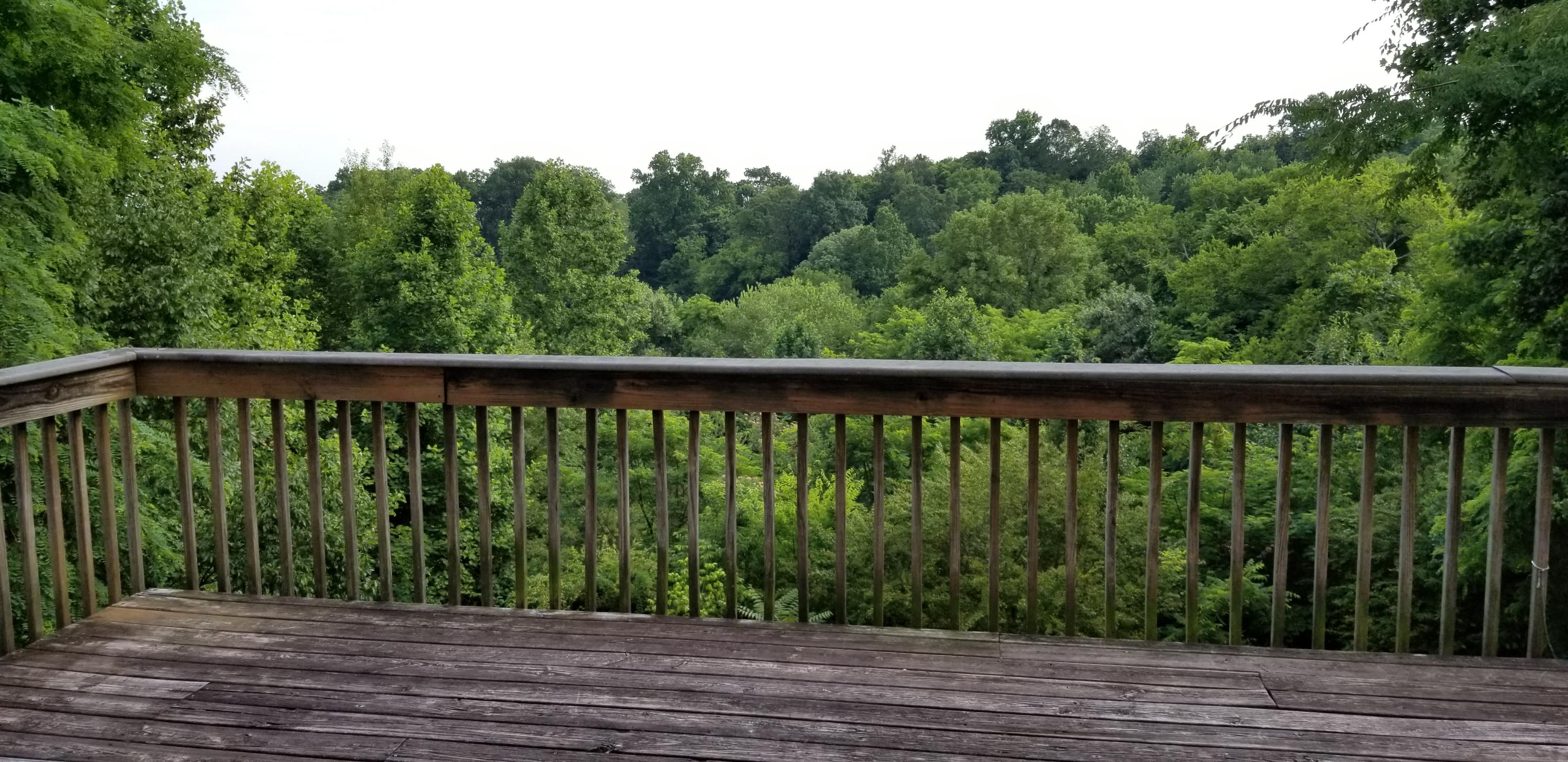 2510 Folkner Road Hixson, TN 37343 - Photo 14 of 16 20180608_181538