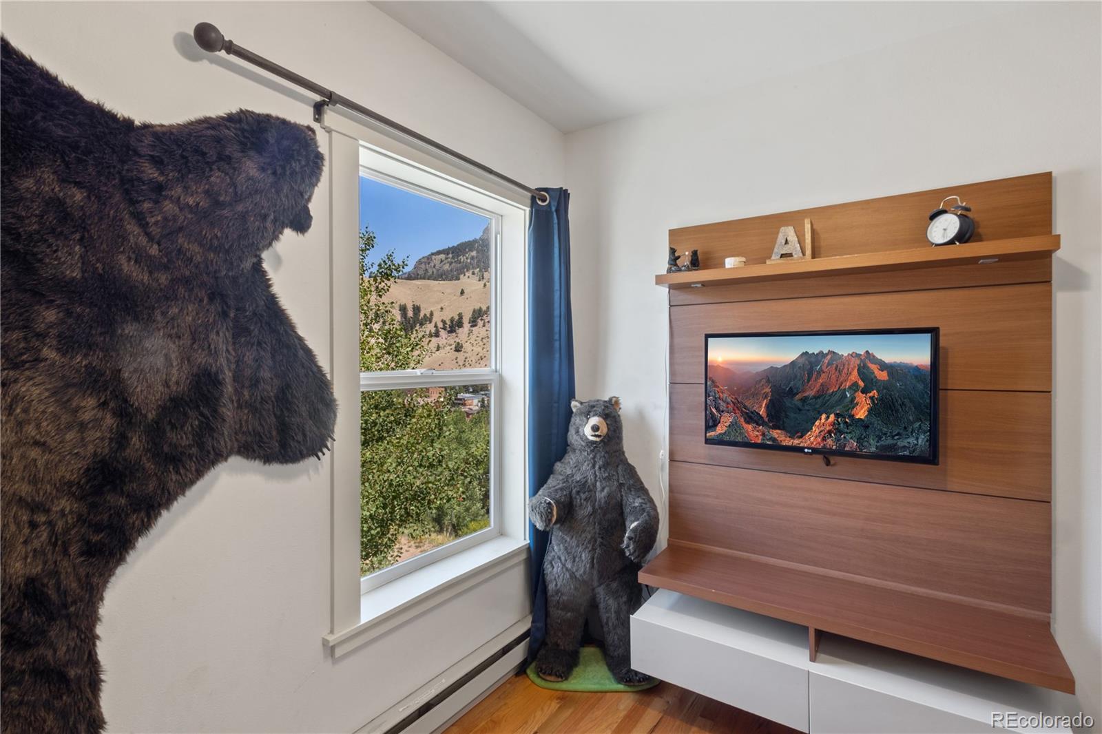 301 West 3rd Street Creede, CO 81130 - Photo 16 of 24 a living room with furniture and a flat screen tv