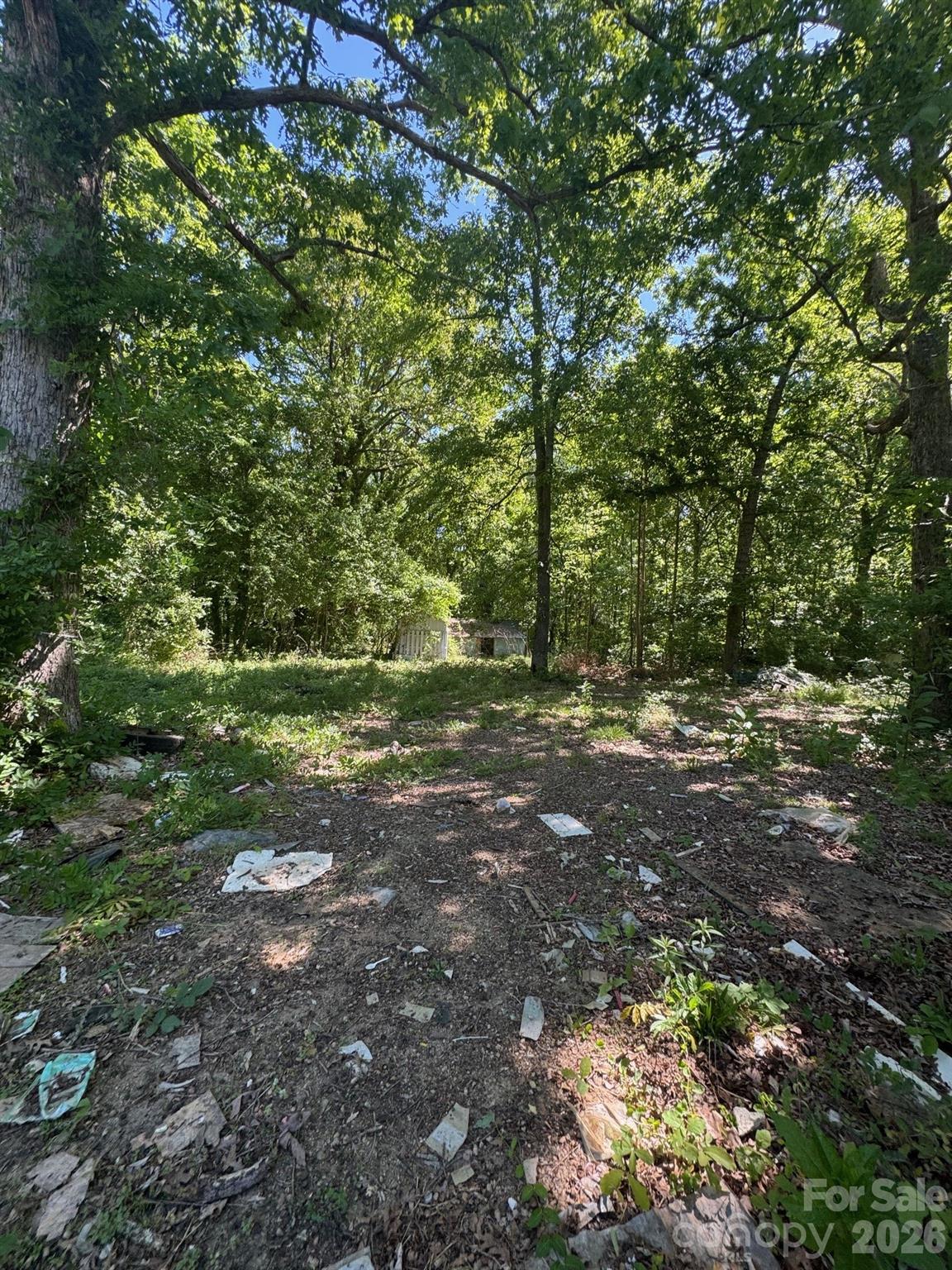 10900 Rozzelles Ferry Road Charlotte, NC 28216 - Photo 6 of 8 a view of outdoor space with trees