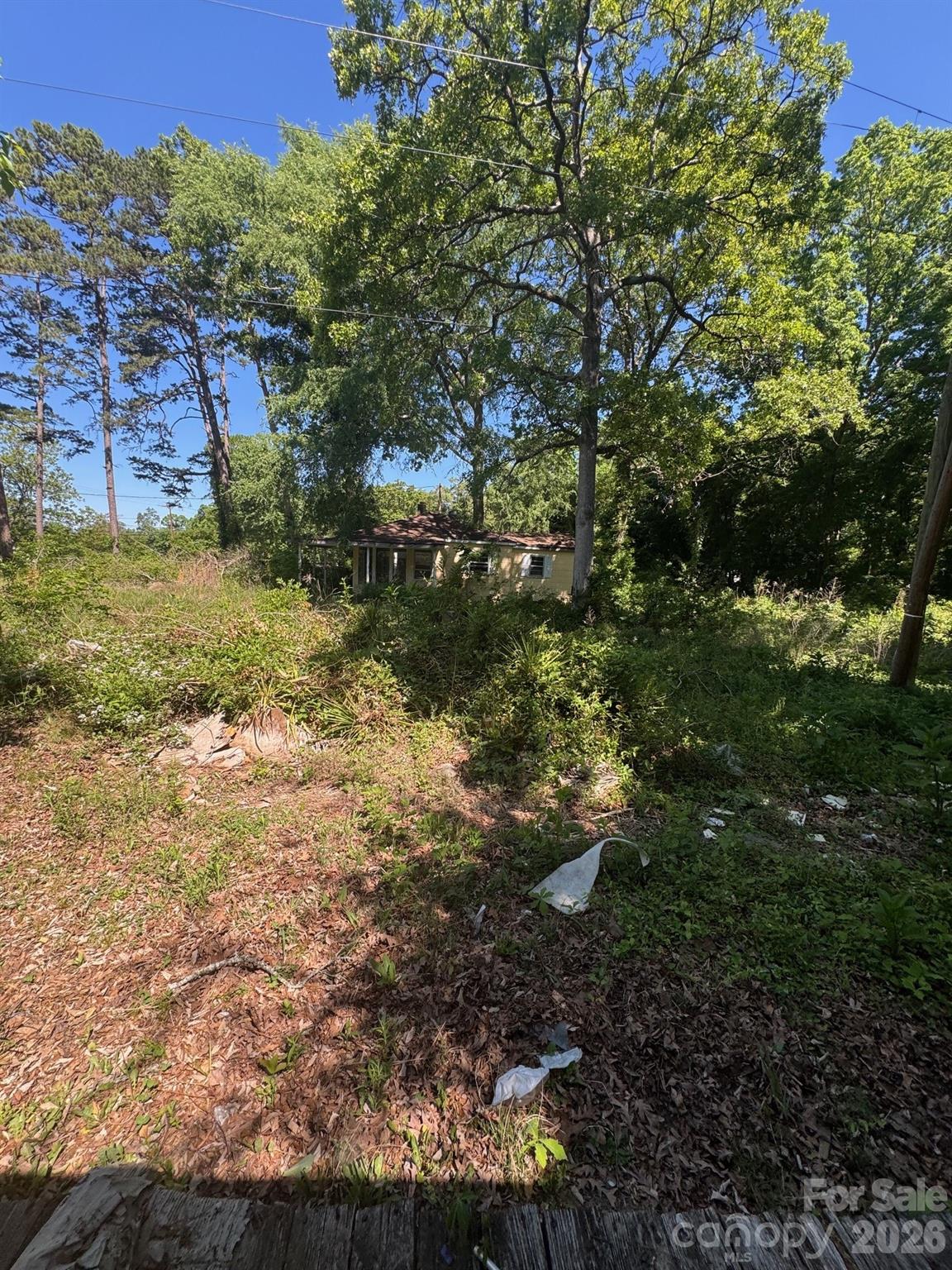 10900 Rozzelles Ferry Road Charlotte, NC 28216 - Photo 7 of 8 a view of a yard with plants and large trees