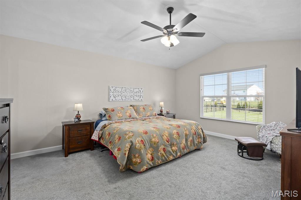 3725 Osprey Court Shiloh, IL 62221 - Photo 25 of 44