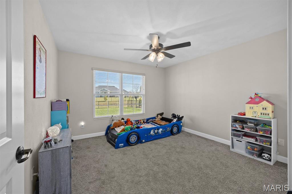 3725 Osprey Court Shiloh, IL 62221 - Photo 10 of 44