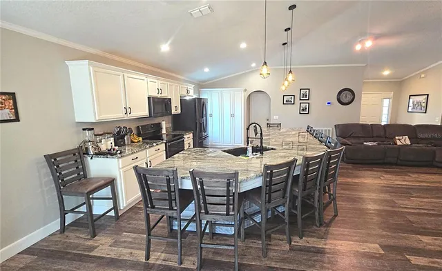 a view of a yard with plants and a large tree