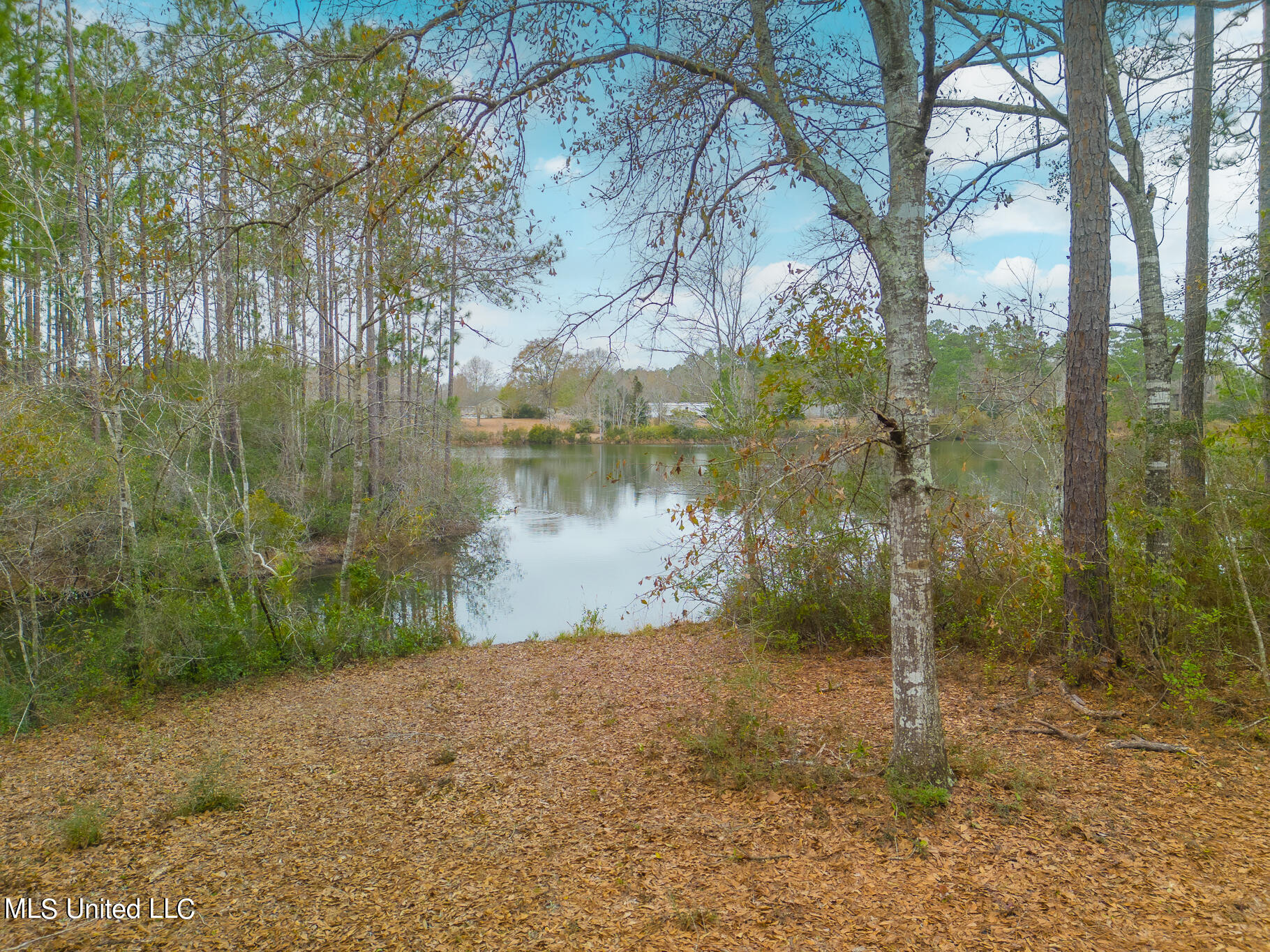 18299 Lake Ridge Drive Saucier, MS 39574 - Photo 4 of 26 18299 Lake Ridge-70005