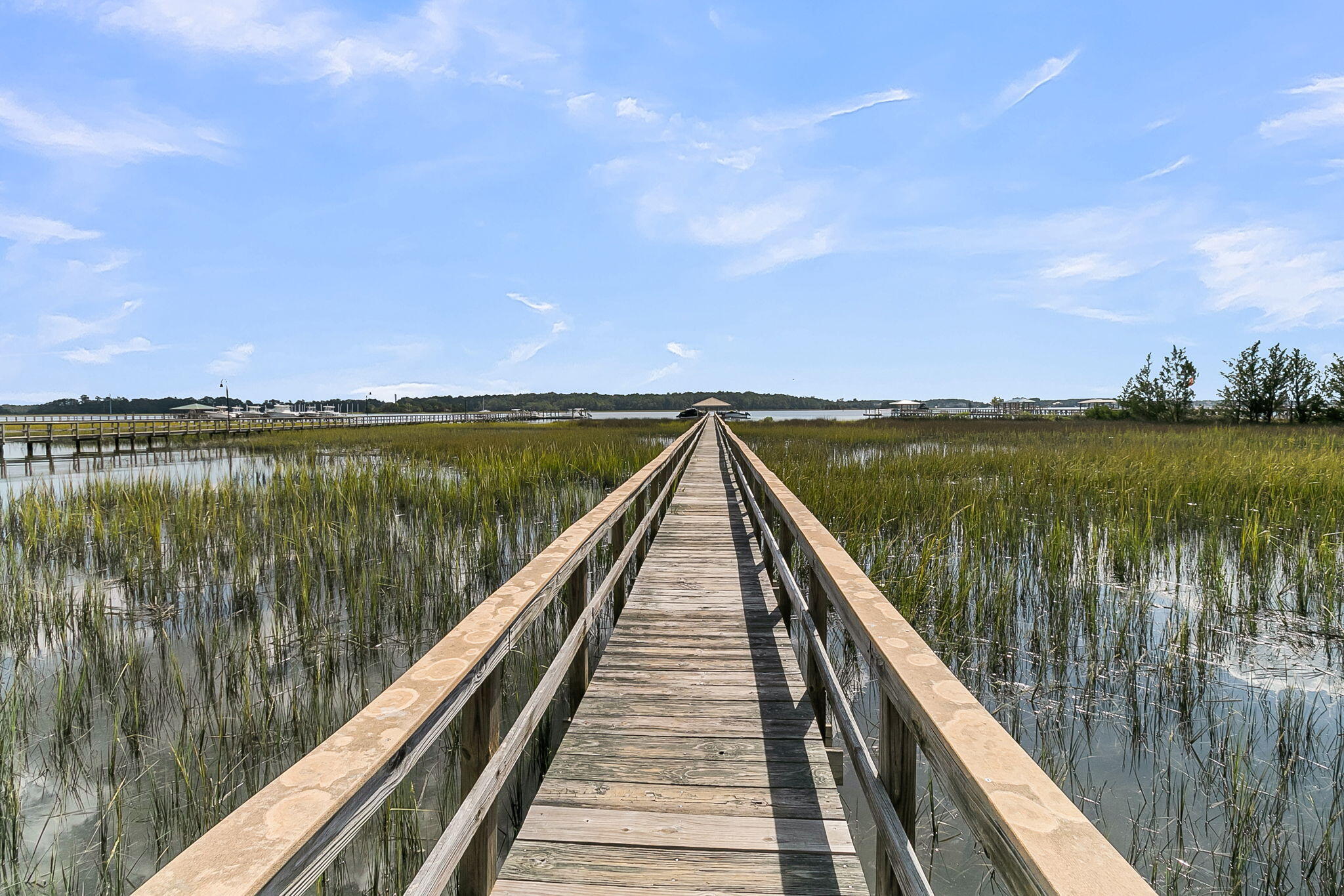 1185 Rivers Reach Drive Wando, SC 29492 - Photo 63 of 71 CREM - Rivers Reach-2