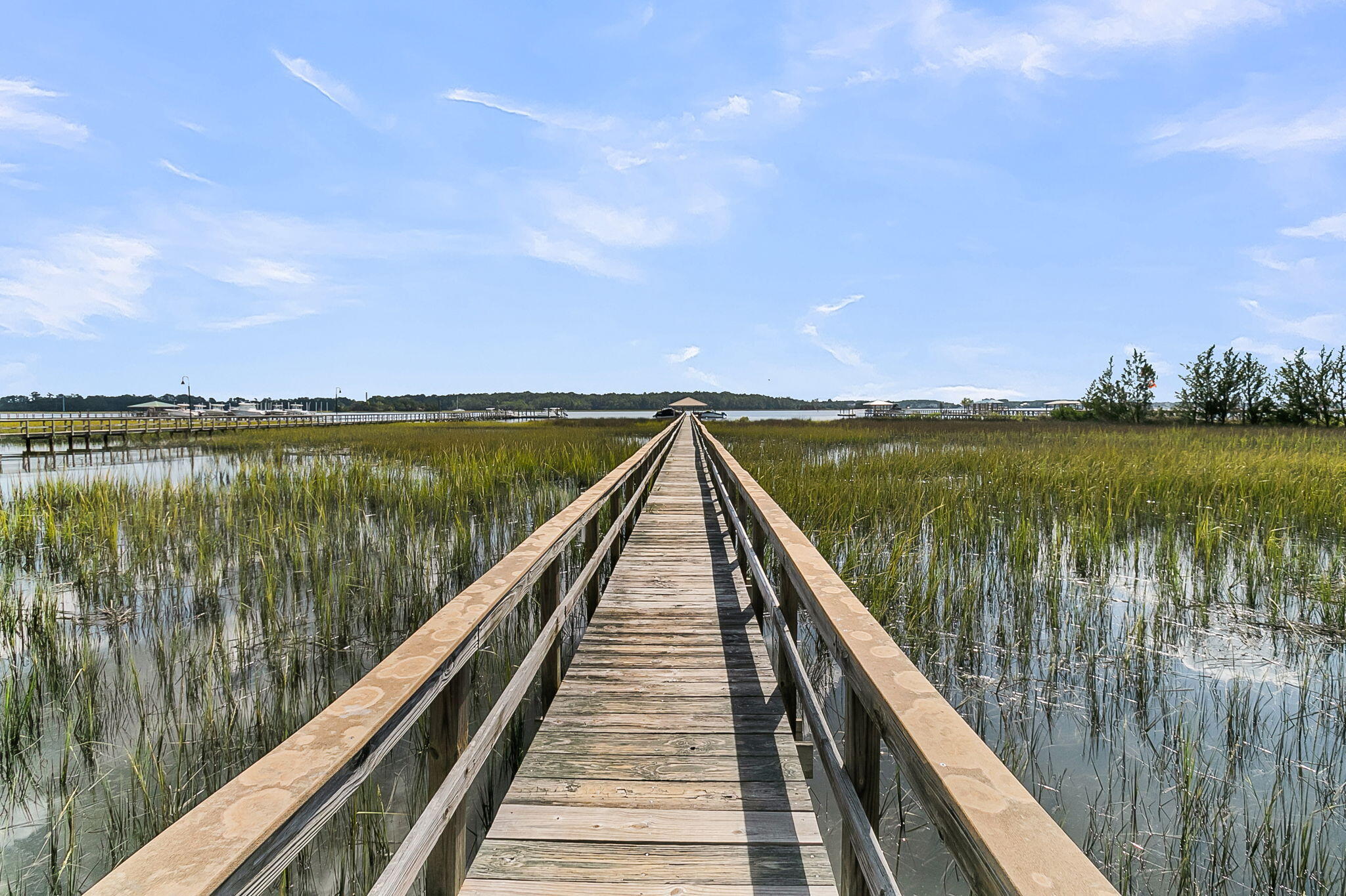 1185 Rivers Reach Drive Wando, SC 29492 - Photo 64 of 71 CREM - Rivers Reach-3