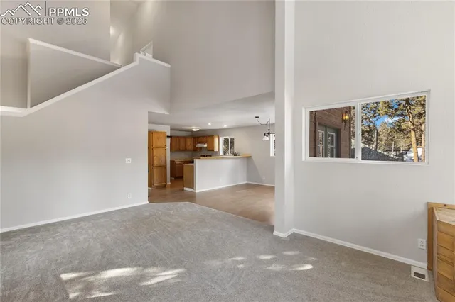 an entryway with a fireplace and a potted plant