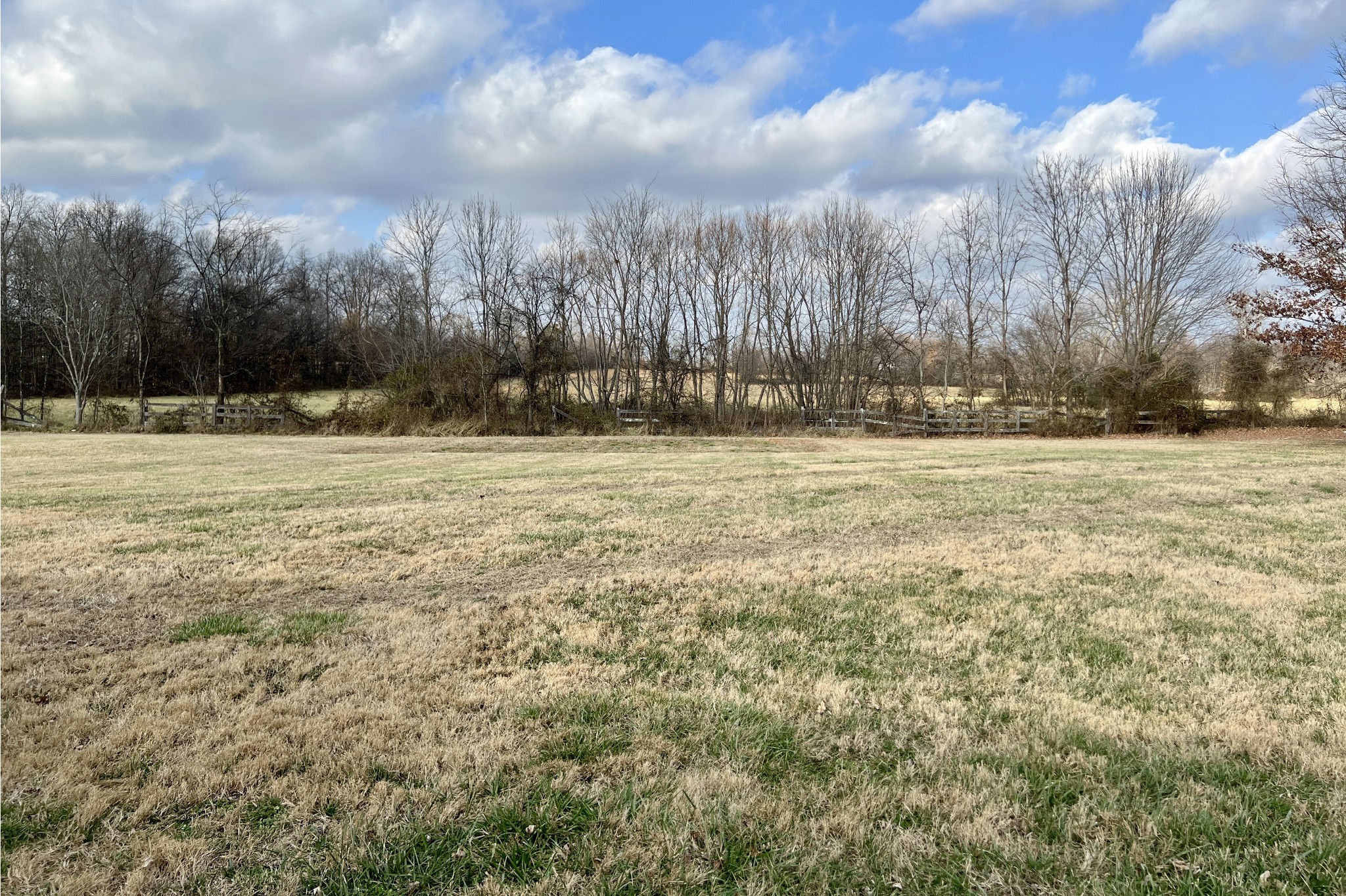 5145 Blackjack Road Franklin, KY 42134 - Photo 28 of 28 a view of a yard
