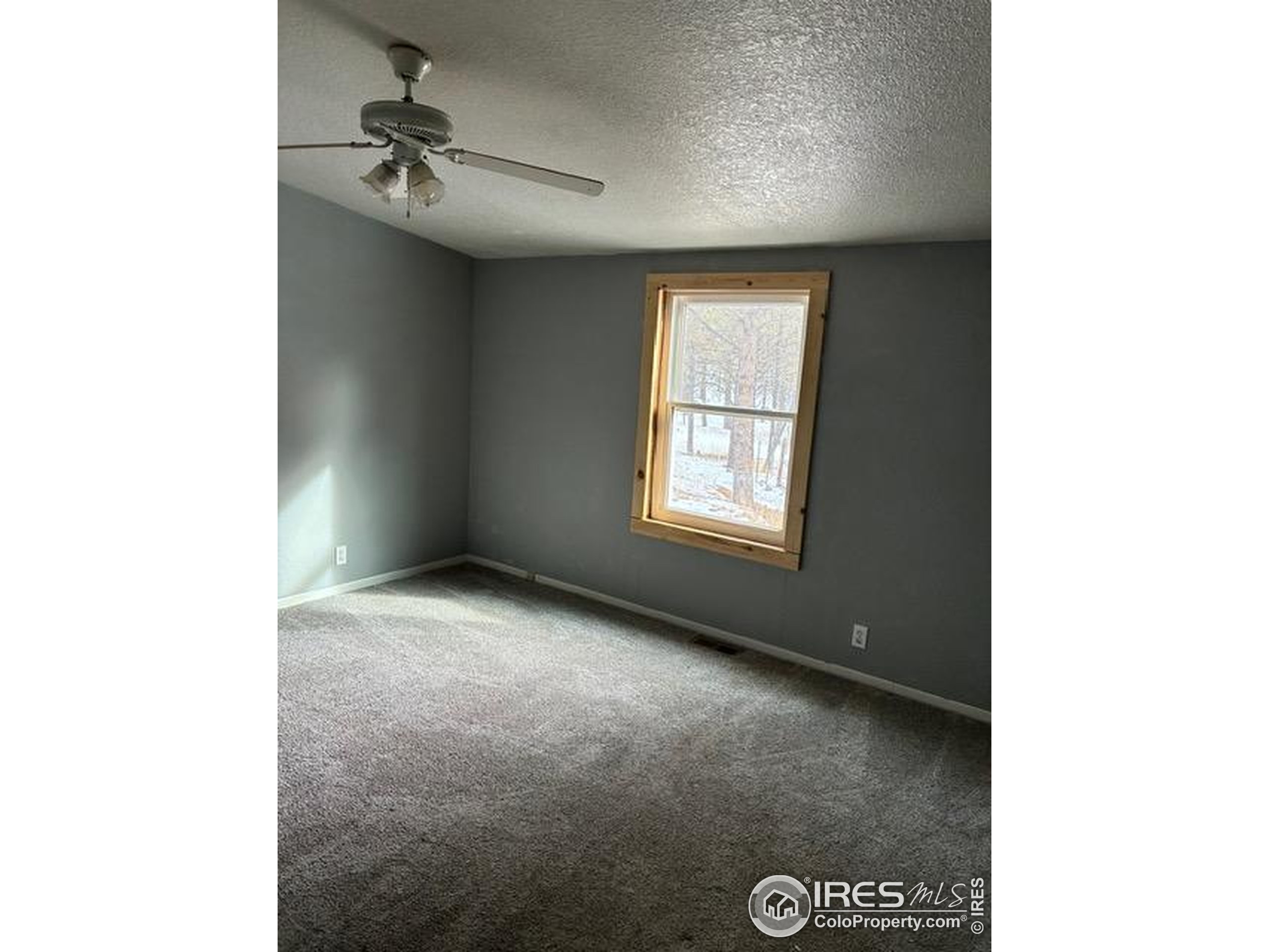 1759 Arapahoe Drive Florissant, CO 80816 - Photo 23 of 40 a view of an empty room with a window