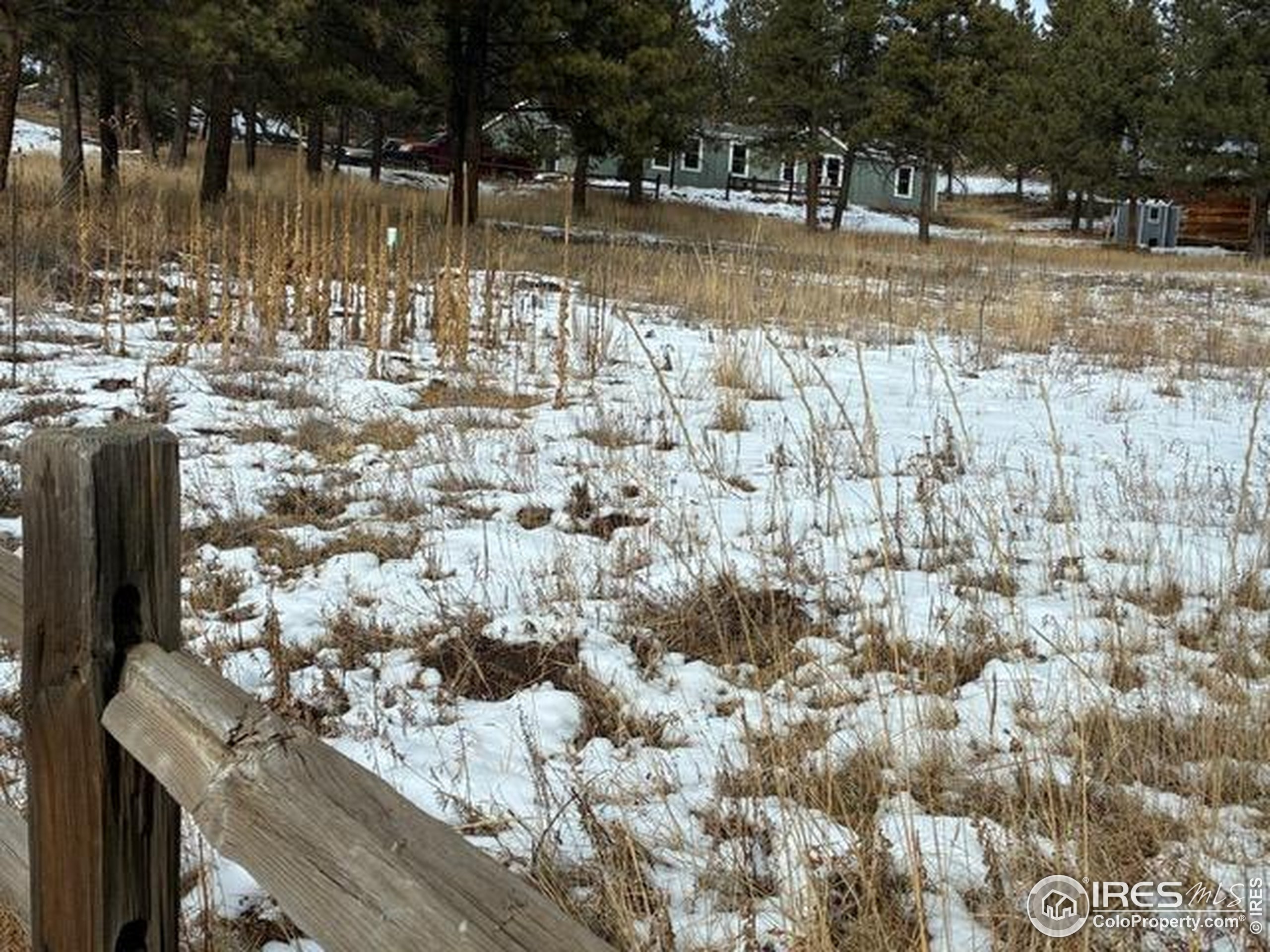 1759 Arapahoe Drive Florissant, CO 80816 - Photo 3 of 40 a view of a yard with a of water