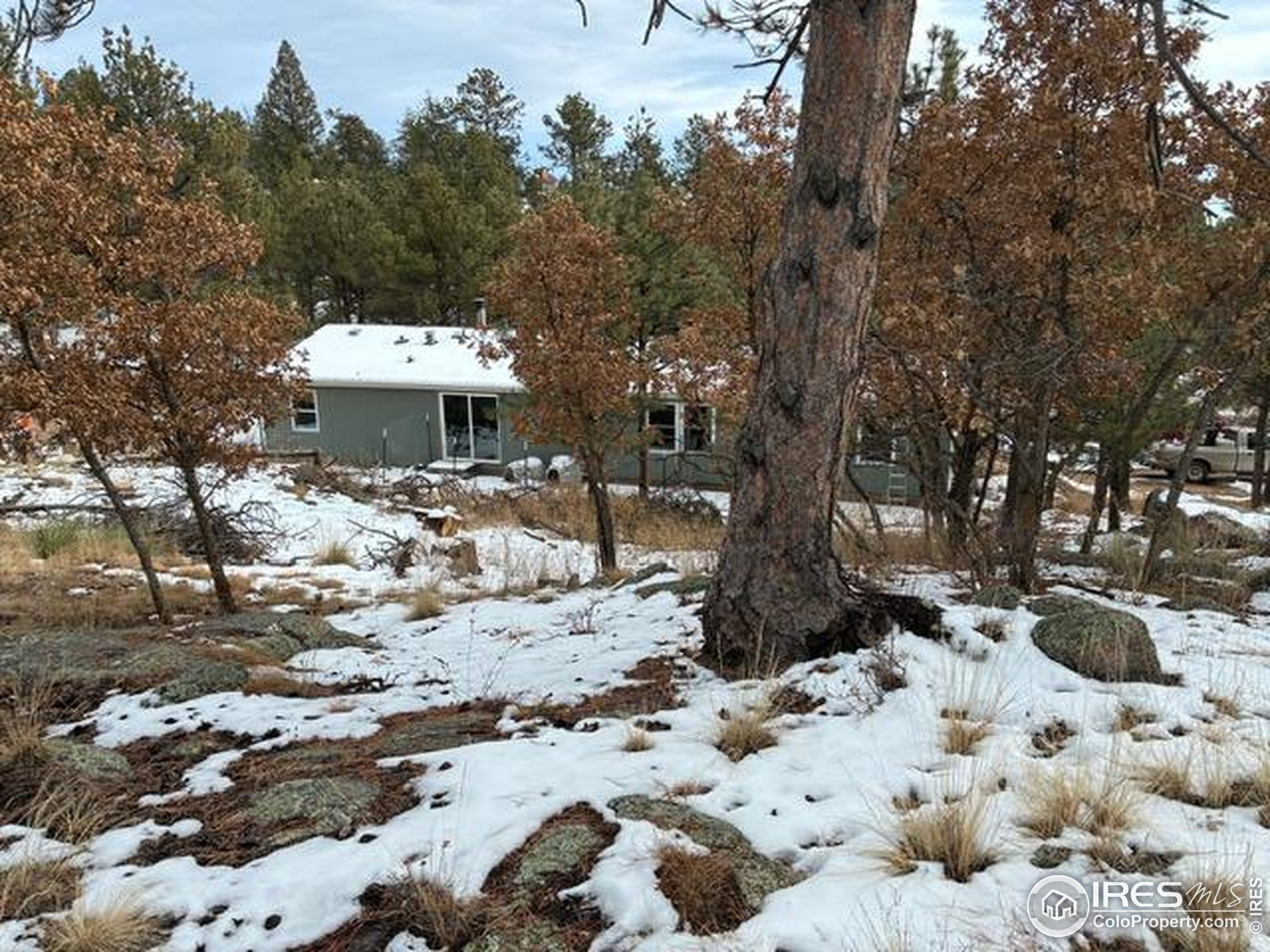 1759 Arapahoe Drive Florissant, CO 80816 - Photo 36 of 40 a view of a backyard of the house