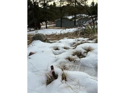 $325,000 | 1759 Arapahoe Drive, Florissant, CO 80816