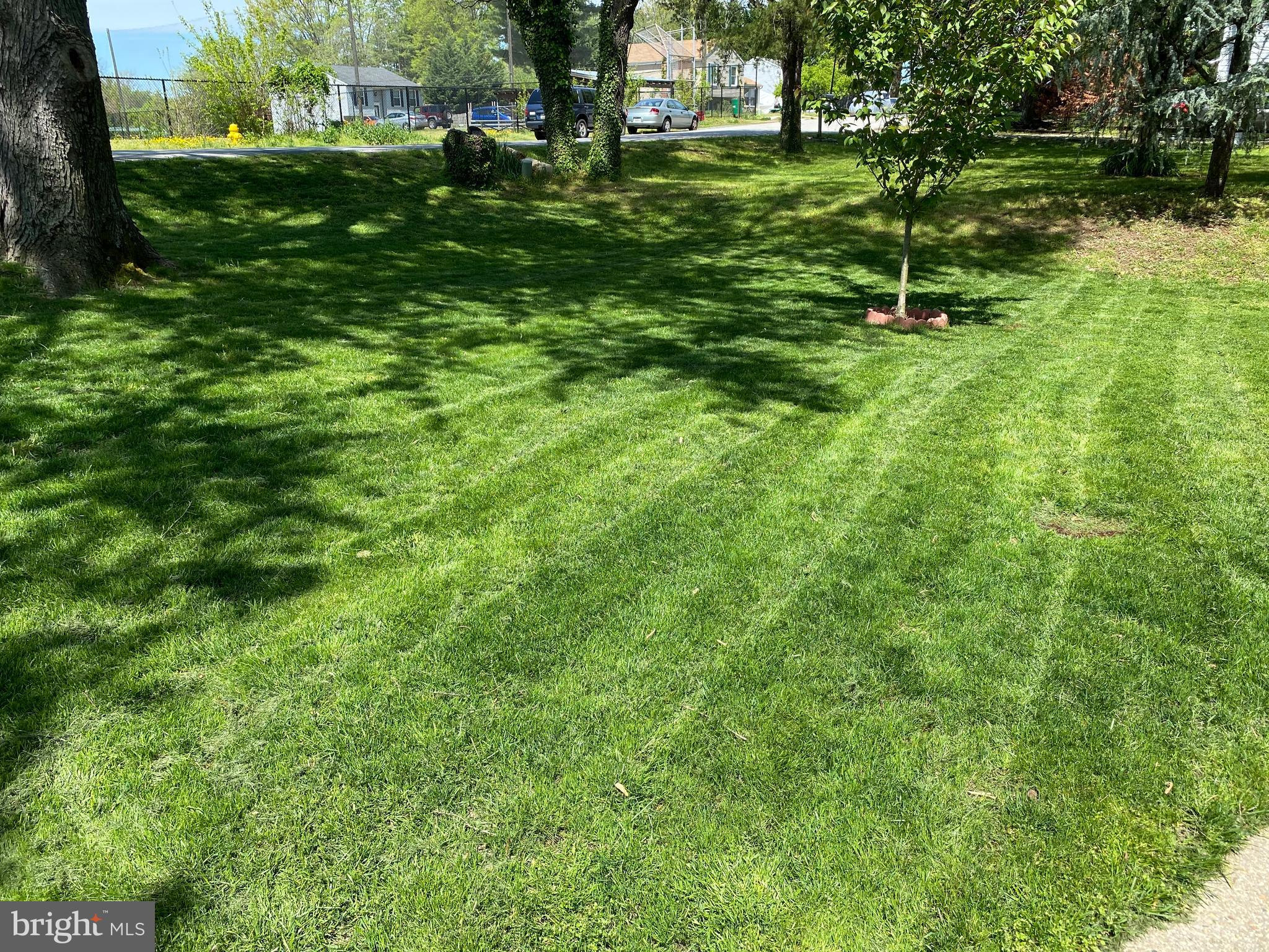 895 Wilson Road Arnold, MD 21012 - Photo 33 of 46 Front Yard