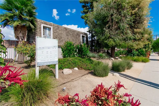 a view of a garden with plants and large trees