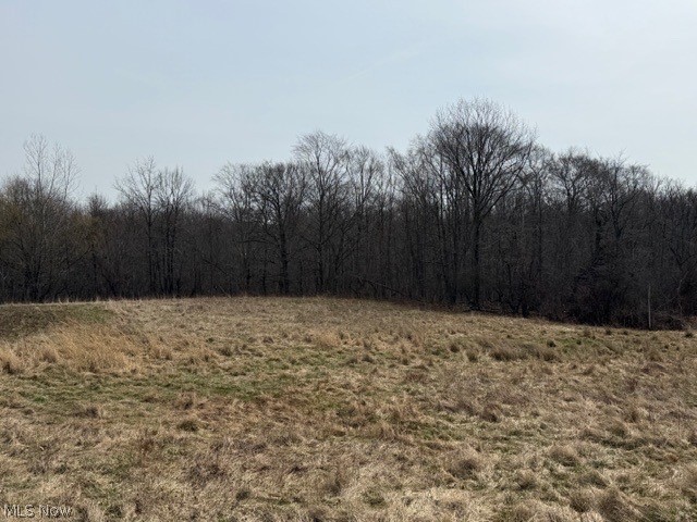 South Madison Road Madison, OH 44057 - Photo 1 of 12