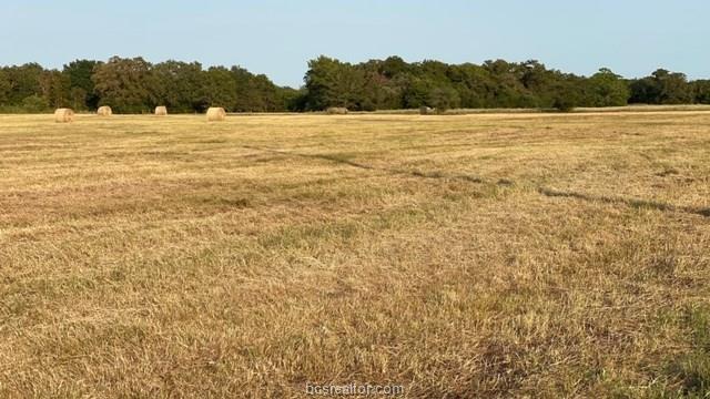 1290 Gun Range Road Somerville, TX 77879 - Photo 8 of 15 Gallery Image 8
