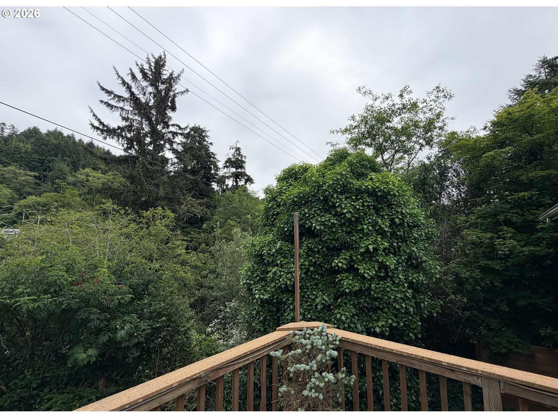 2260 Arthur Drive Reedsport, OR 97467 - Photo 31 of 36 Backyard
