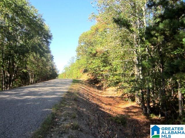 22-acres Clairmont Springs Road, Unit 22 ACRES Lineville, AL 36266 - Photo 16 of 16