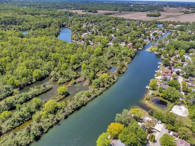 a view of a garden with potted plants