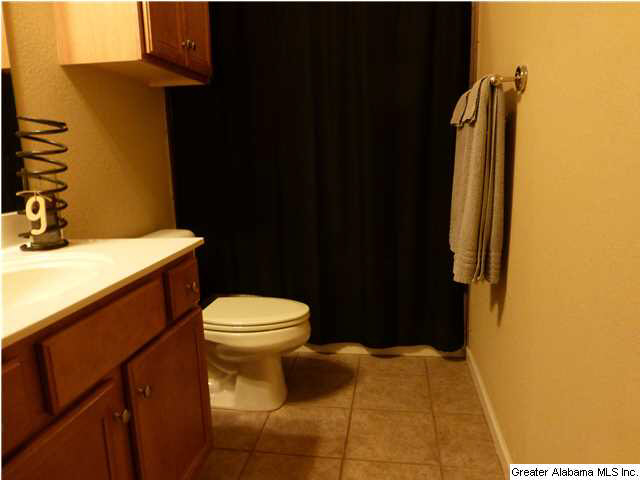 293 Nottingham Drive Calera, AL 35040 - Photo 16 of 30
